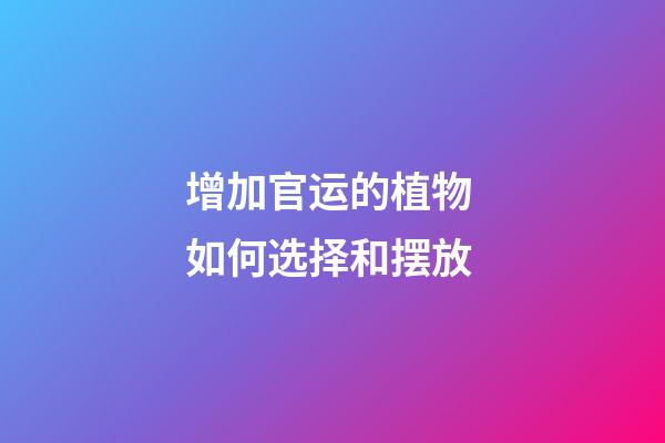增加官运的植物 如何选择和摆放